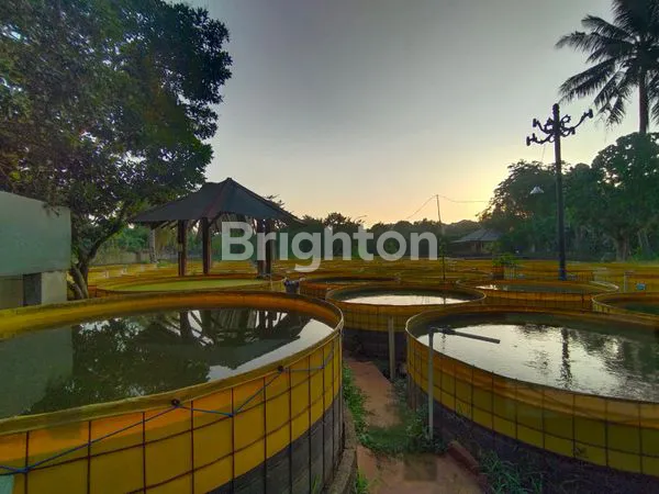 image LAHAN COCOK UNTUK CLUSTER PERUMAHAN DAERAH PARUNG BOGOR  (6)