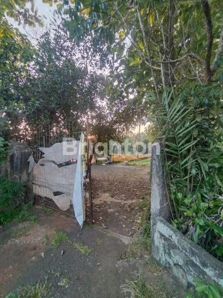 image LAHAN COCOK UNTUK CLUSTER PERUMAHAN DAERAH PARUNG BOGOR  (7)