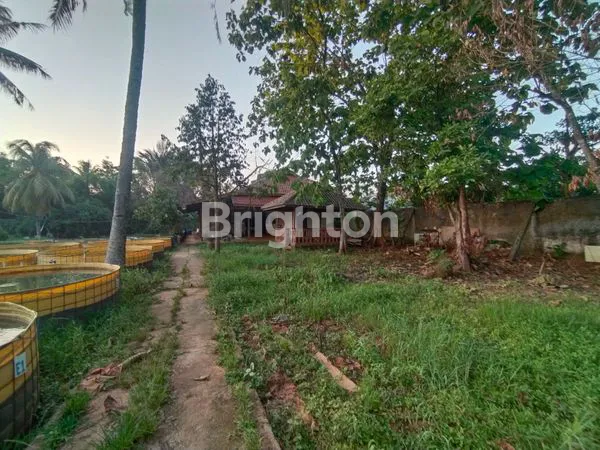 image LAHAN COCOK UNTUK CLUSTER PERUMAHAN DAERAH PARUNG BOGOR  (8)