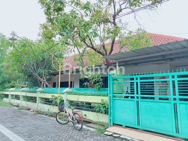 image RUMAH SHM 500M² SIAP HUNI DI KEPUH PERMAI (3)