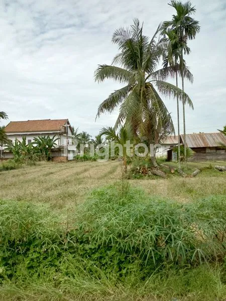 image TALANG JERING (4)