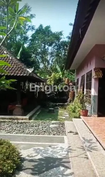 image RUMAH LUAS 1 LANTAI  PLUS TOKO DENGAN LUAS TANAH 6 ARE, GARASE BESAR, LOKASI PINGGIR JALAN UTAMA DI KLUNGKUNG (1)
