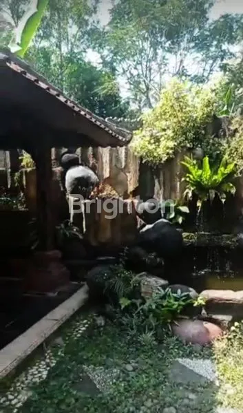 image RUMAH LUAS 1 LANTAI  PLUS TOKO DENGAN LUAS TANAH 6 ARE, GARASE BESAR, LOKASI PINGGIR JALAN UTAMA DI KLUNGKUNG (2)