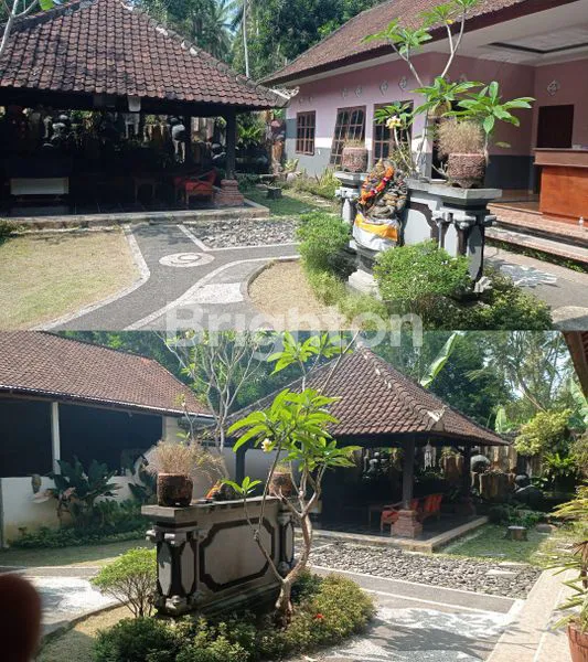 image RUMAH LUAS 1 LANTAI  PLUS TOKO DENGAN LUAS TANAH 6 ARE, GARASE BESAR, LOKASI PINGGIR JALAN UTAMA DI KLUNGKUNG (8)