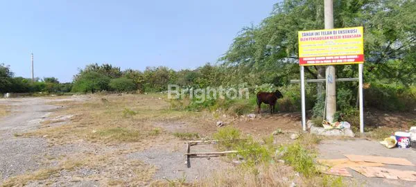 TANAH KONTUR DATAR, 2.5 HA STRATEGIS DEKAT PLTU PAITON - SHM