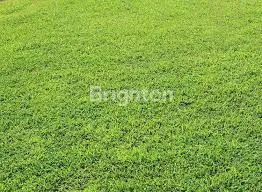 image KAVLING STRATEGIS COCOK UNTUK INVESTASI DHARMAHUSADA SURABAYA (1)