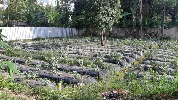 image TANAH DI LEMBANG (2)