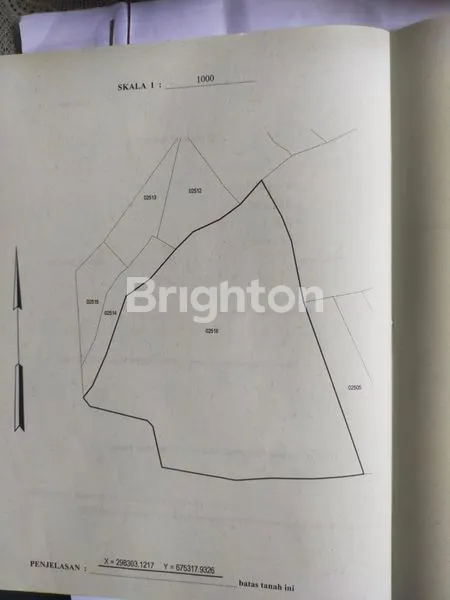 image TANAH DISEWAKAN UNTUK PERTANIAN KOPENG (1)