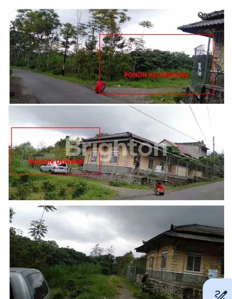 image KAVLING LAHAN KERING AMPEL BOYOLALI COCOK UNTUK PERKEBUNAN ATAU INDUSTRI (1)