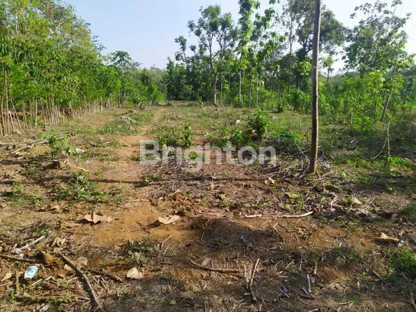 image TANAH DI MOJO KEDIRI (3)