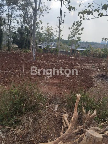 Gambar Property TANAH LUAS DEKAT UNDIP DI MULAWARWAN UTARA DALAM, TEMBALANG