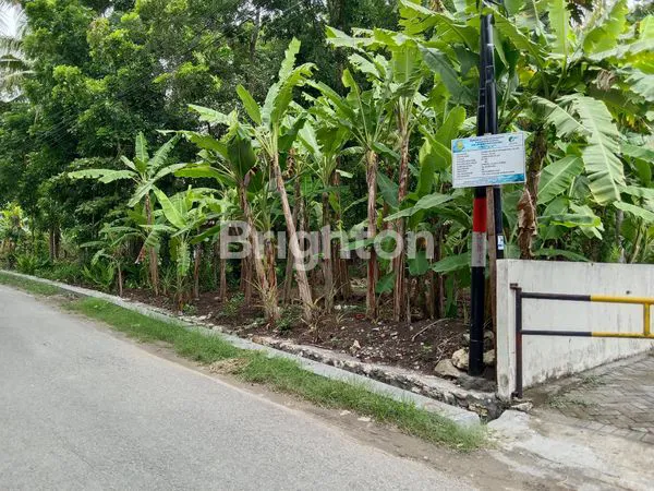 JARANG ADA TANAH LUAS 200-AN METER PINGGIR JALAN ASPAL, SELATAN UNIVERSITAS MUHAMMADIYAH YOGYAKARTA ( UMY ), BELAKANG PADMA RESIDENCE, MEPET CLUSTER PERUMAHAN