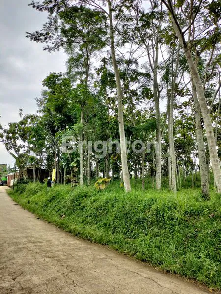 LAHAN LUAS DI CIPARAY KABUPATEN BANDUNG