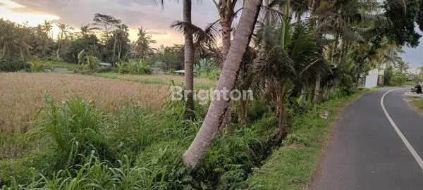 image TANAH DIJUAL AREA PERUMAHAN (3)