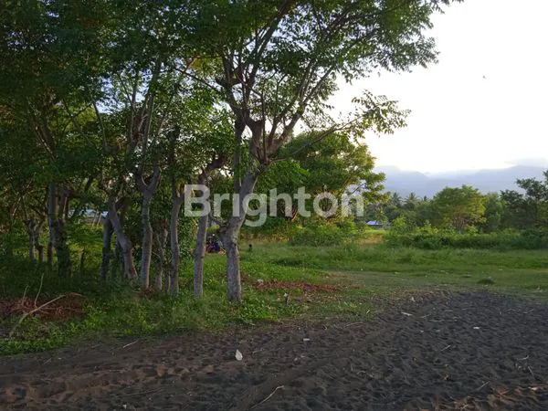 image TANAH DI TIMUR LAUT LOMBOK LUAS 1,5 HECTARES. TEPI PANTAI  (4)