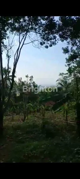 image TANAH DI BOROBUDUR MAGELANG (2)