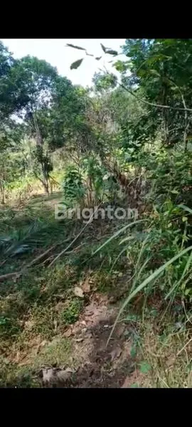 image TANAH DI BOROBUDUR MAGELANG (3)