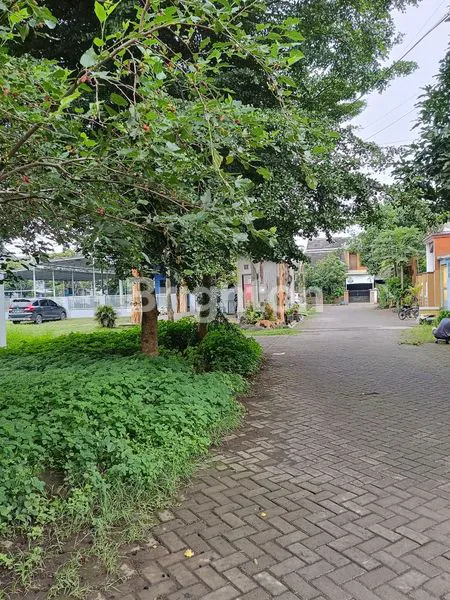 image RUMAH HUNIAN (2)