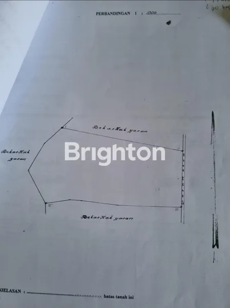 image TANAH DI LEDUG, PRIGEN , PASURUAN , ±6.000M² (2)