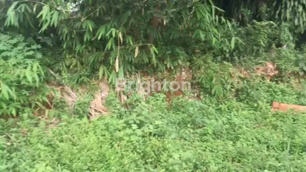 image TANAH DEKAT JALAN PEMDA TAJURHALANG BOGOR (3)