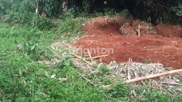 image TANAH DEKAT JALAN PEMDA TAJURHALANG BOGOR (4)
