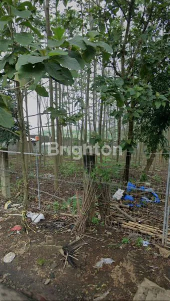 image TANAH KOSONG BENTUK L. COCOK UNTUK INVESTASI (1)