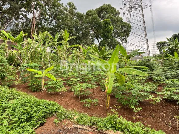 SEWA TANAH PINGGIR JALAN STRATEGIS DAN RAMAI
