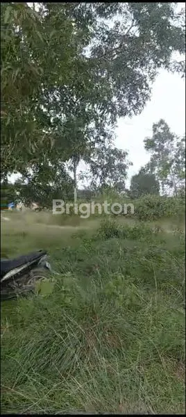 image DI JUAL TANAH LOKASI DARI JL. MULAWARMAN BALIKPAPAN TIMUR (4)