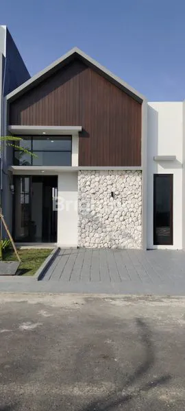 image MAURA HILL  (1)