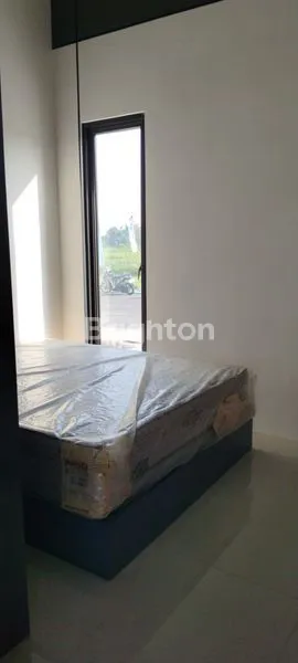 image MAURA HILL  (3)