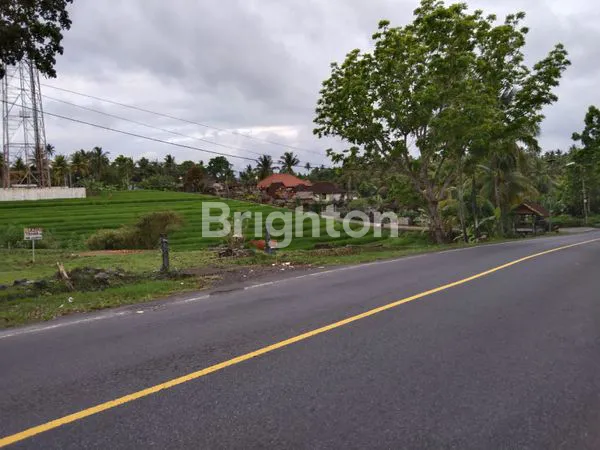 image TANAH JALAN UTAMA DENPASAR GILIMANUK VIEW LAUT DAN SAWAH (3)