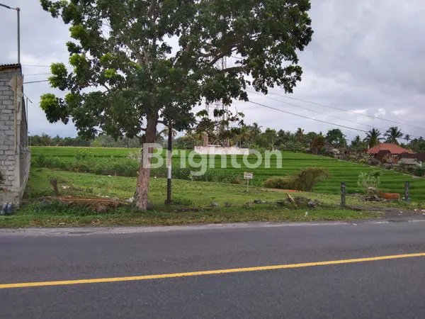 image TANAH JALAN UTAMA DENPASAR GILIMANUK VIEW LAUT DAN SAWAH (5)