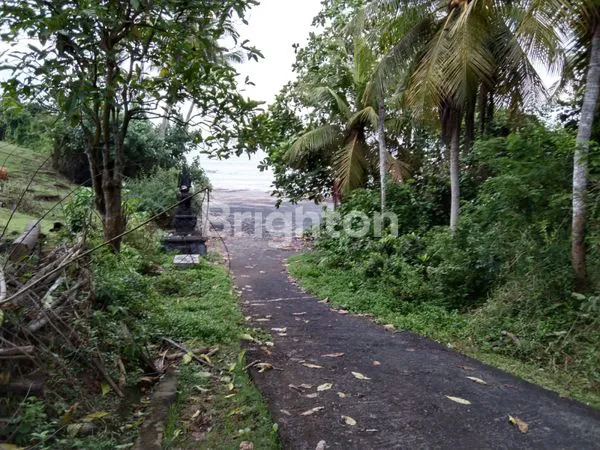 image TANAH JALAN UTAMA DENPASAR GILIMANUK VIEW LAUT DAN SAWAH (6)