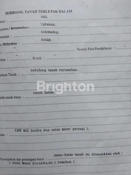 image TANAH JALAN UTAMA DENPASAR GILIMANUK VIEW LAUT DAN SAWAH (4)