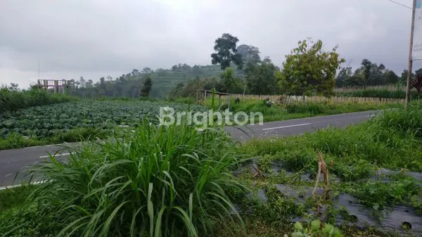TANAH SIAP BANGUN PEKARANGAN PINGGIR JALAN PROPINSI