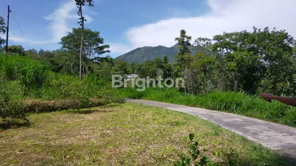 image TANAH MURAH DIKOPENG (2)