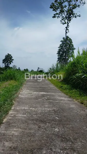 image TANAH MURAH DIKOPENG (1)