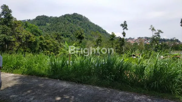 image TANAH MURAH DIKOPENG (3)