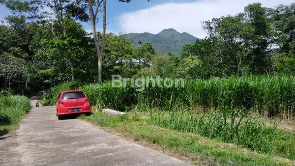 image TANAH MURAH DIKOPENG (4)