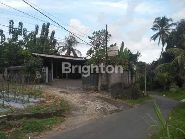 image RUMAH + GUDANG DENGAN HALAMAN LUAS DI TABANAN (2)