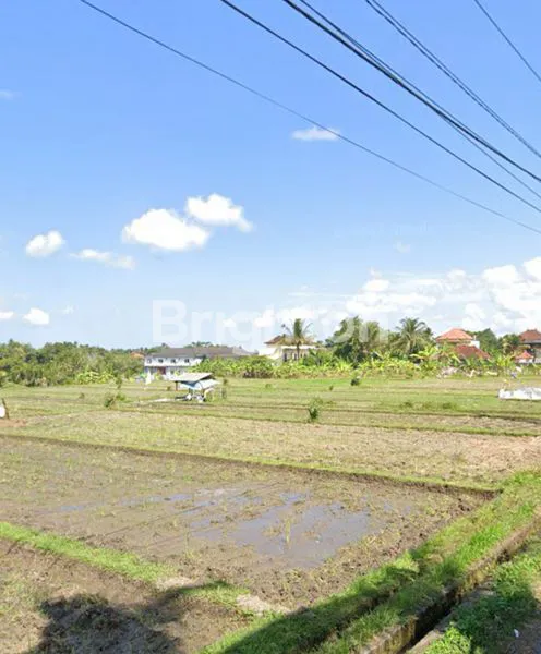 image TANAH DENGAN VIEW SAWAH DI MARGA TABANAN (3)