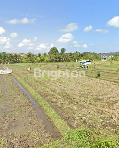 image TANAH DENGAN VIEW SAWAH DI MARGA TABANAN (4)