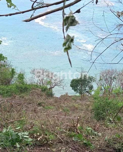 image TANAH 9300M2 (93 ARE) SAMPING PANTAI TANAH BARAK  (7)