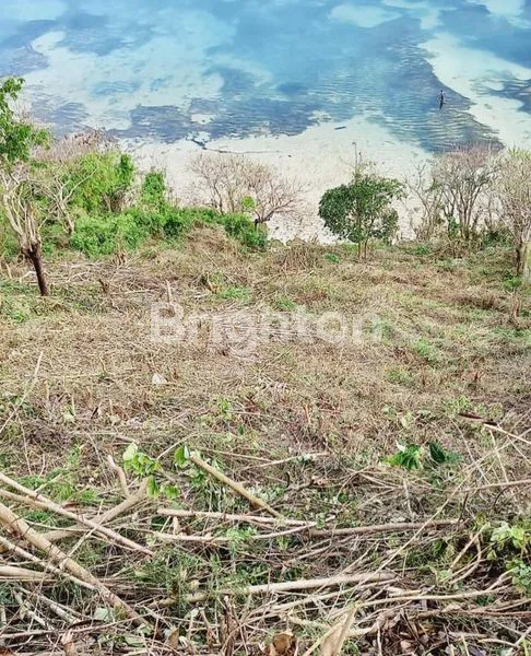 image TANAH 9300M2 (93 ARE) SAMPING PANTAI TANAH BARAK  (8)