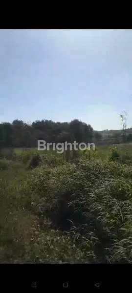 image TANAH STRATEGIS SANGAT  COCOK UNTUK PERUMAHAN ,KOLAM PANCING DLL (1)