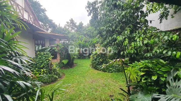 image RUMAH MEWAH+RUMAH PENDAMPING COCOK BUAT USAHA ATAU PRAKTEK DOKTER,DI DAERAH ELITE NEMPEL JL PADJAJARAN BOGOR (8)