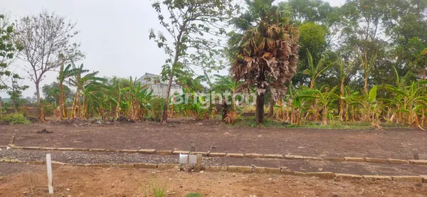 image TANAH DIJUAL KECIPIK BOTENG MENGANTI GRESIK LOKASI BAGUS (1)