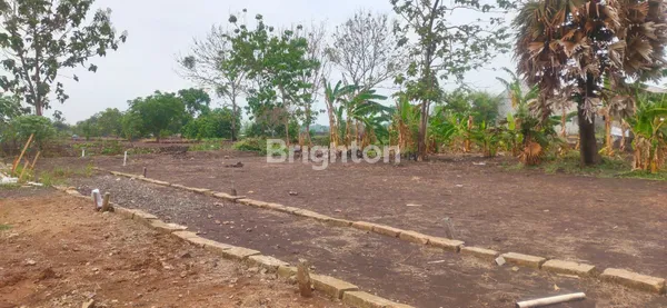 image TANAH KECIPIK BOTENG MENGANTI GRESIK SIAP BANGUN (1)