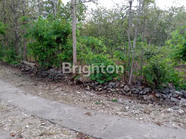 image TANAH MURAH DEKAT KOTA, PINGGIR JALAN DEKAT JALAN PROPINSI, KARANGMOJO WONOSARI GUNUNGKIDUL, TANAH MURAH YOGYAKARTA (1)