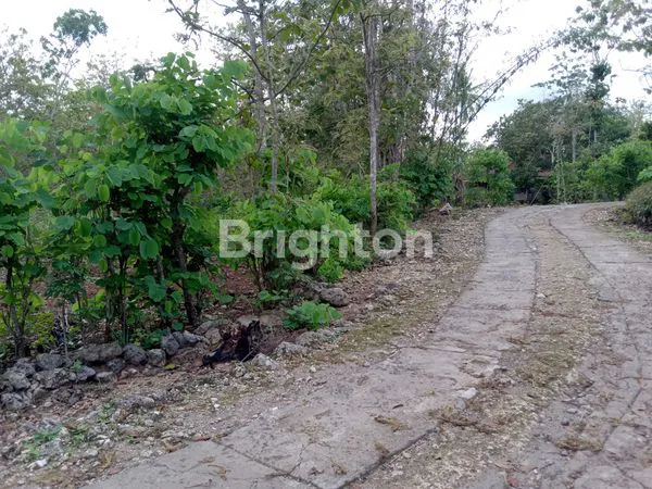 image TANAH MURAH DEKAT KOTA, PINGGIR JALAN DEKAT JALAN PROPINSI, KARANGMOJO WONOSARI GUNUNGKIDUL, TANAH MURAH YOGYAKARTA (2)